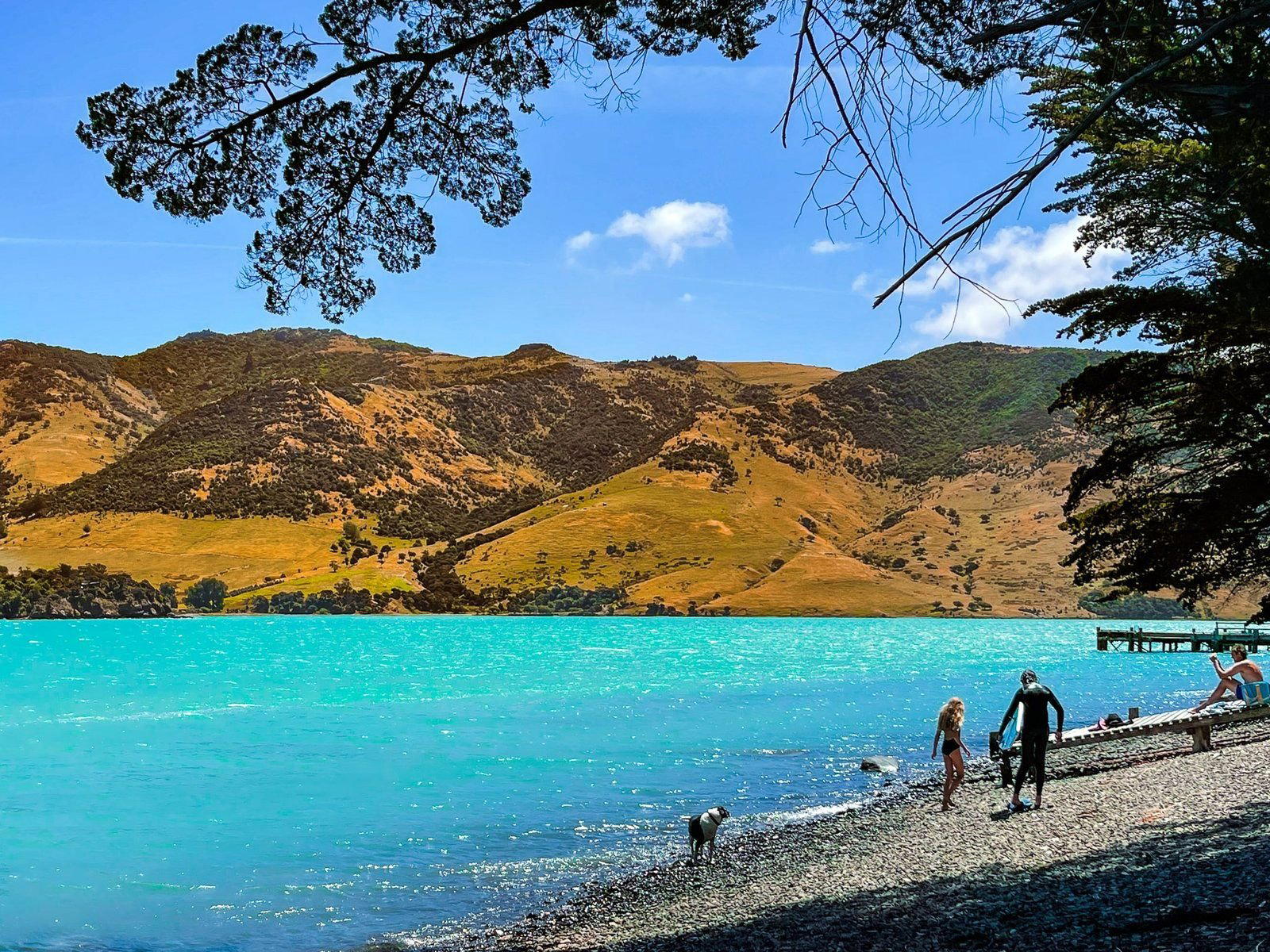 Pigeon Bay, New Zealand