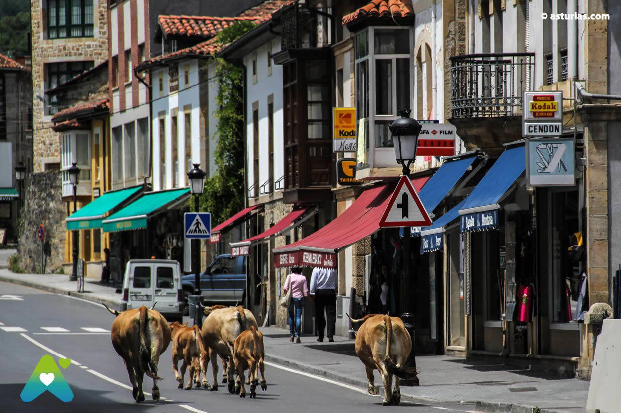 Cabrales, Spain