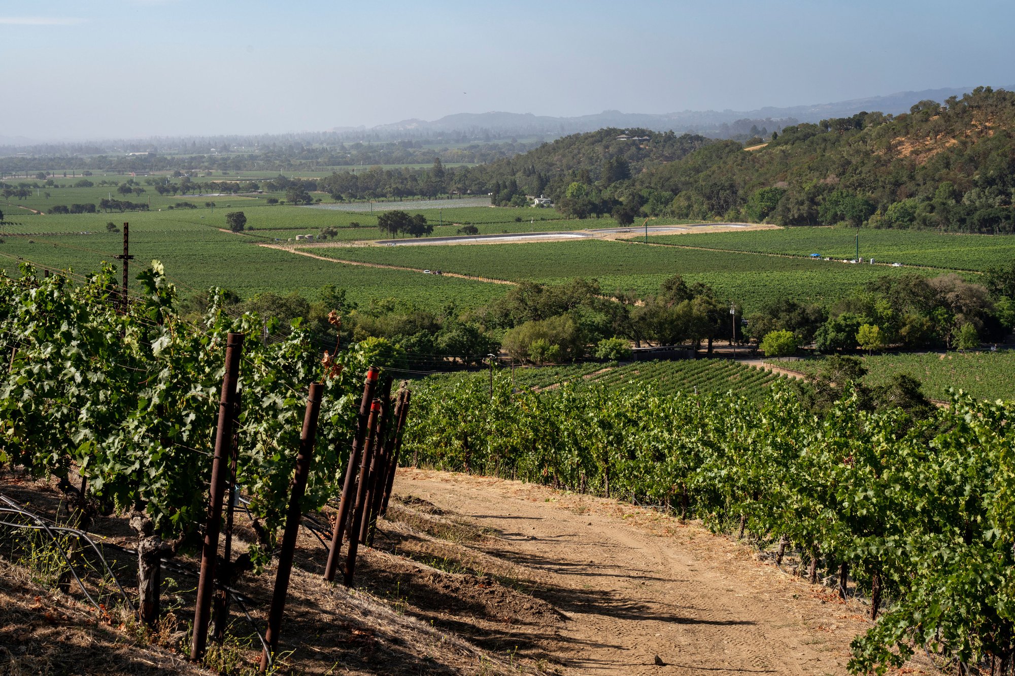 Stags Leap District (Napa), United States