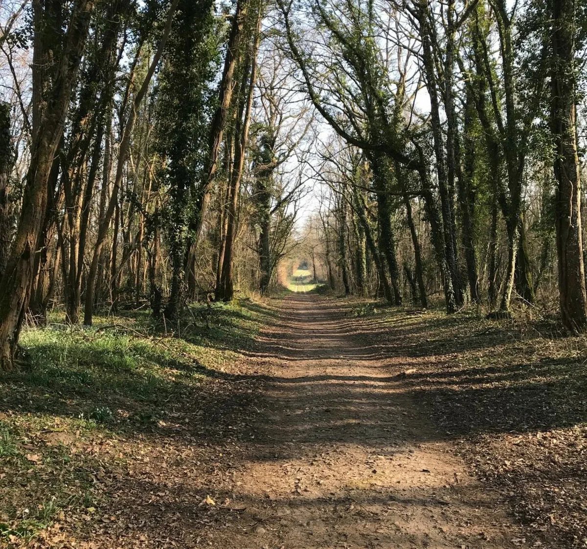 Cosne Villechaud, France