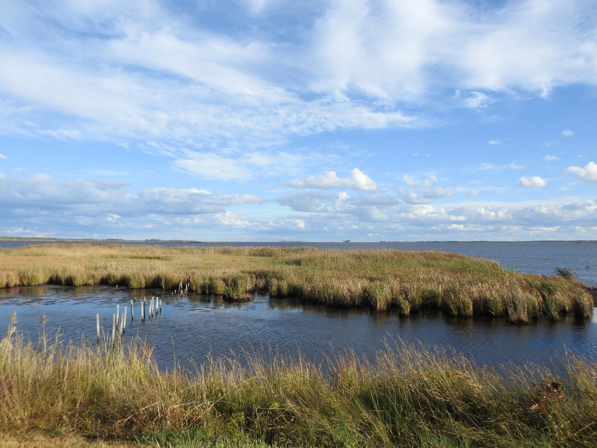 White Marsh, United States