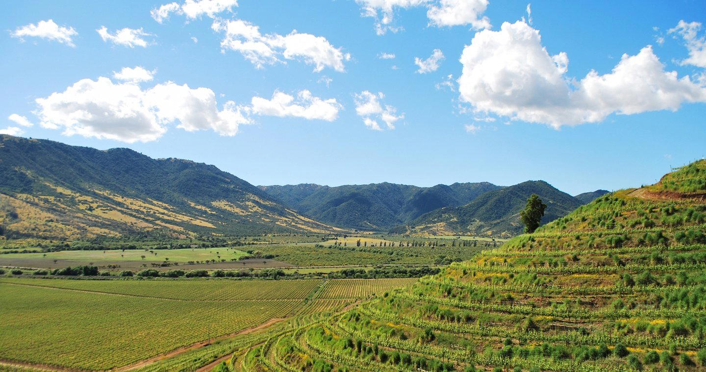 Colchagua, Chile