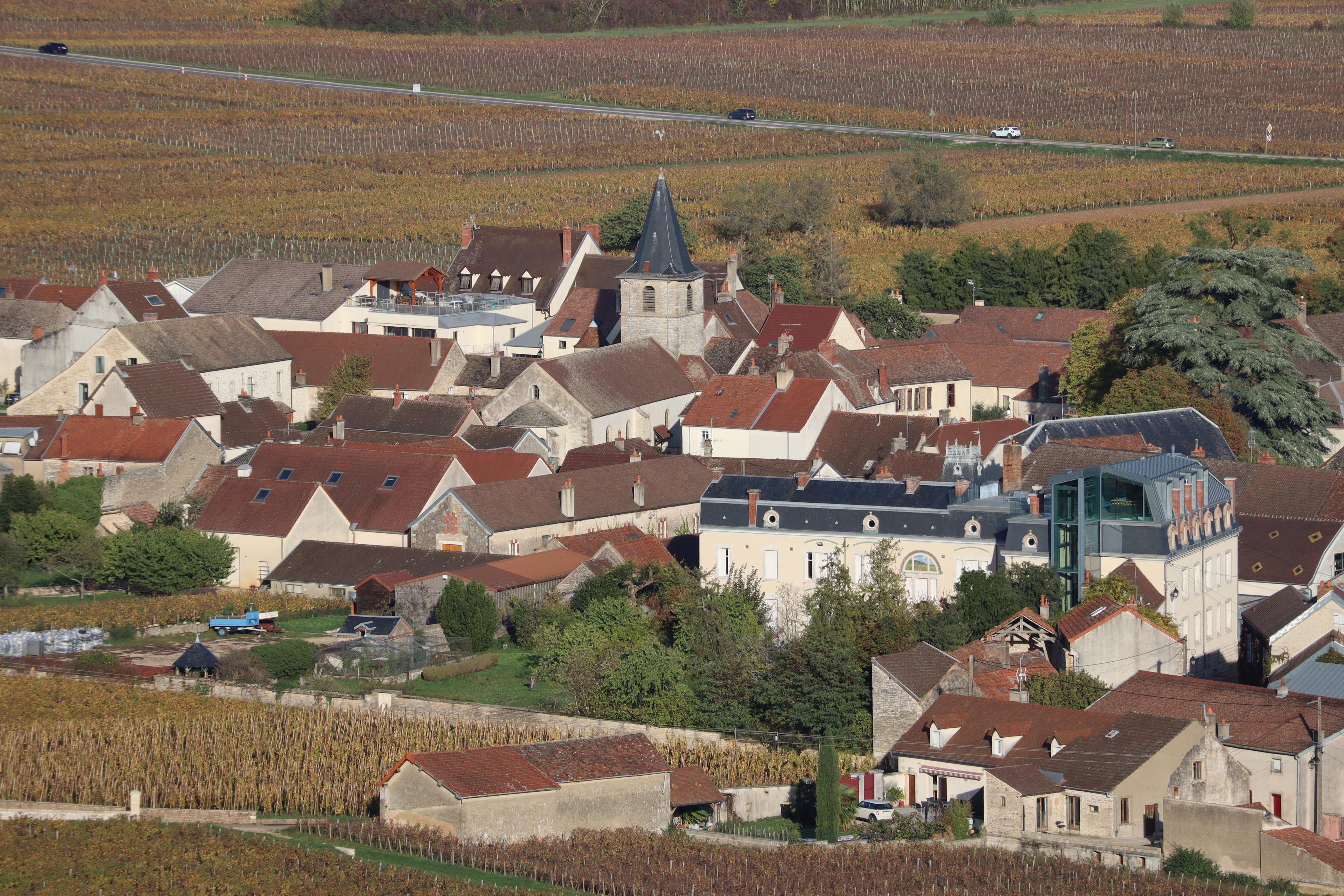Vosne-Romanée, France
