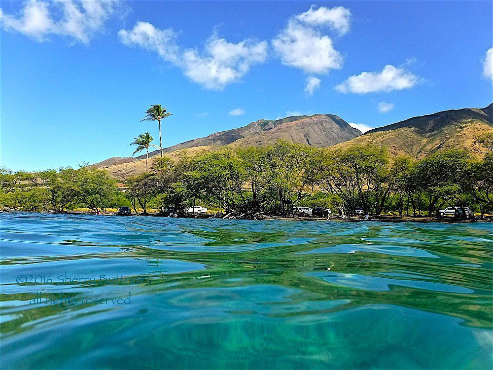 Olowalu, United States