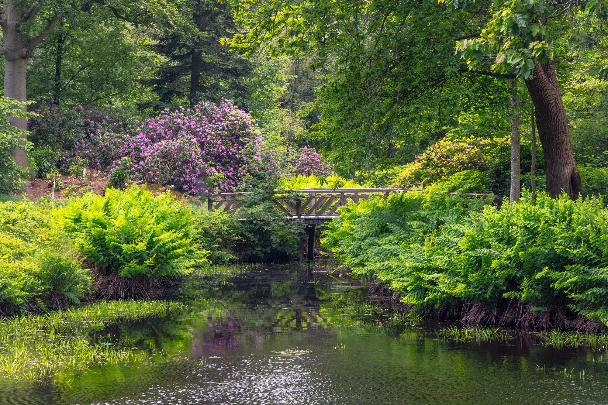 Oranjewoud, Netherlands