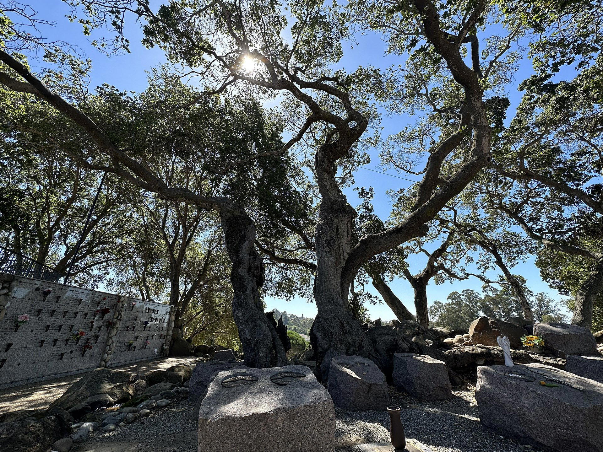 Lone Tree, United States