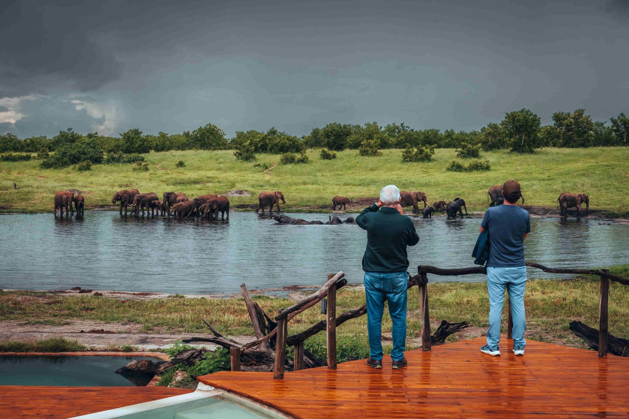Hwange National Park, Zimbabwe