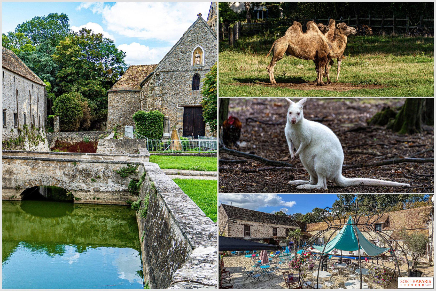 Janvry, France