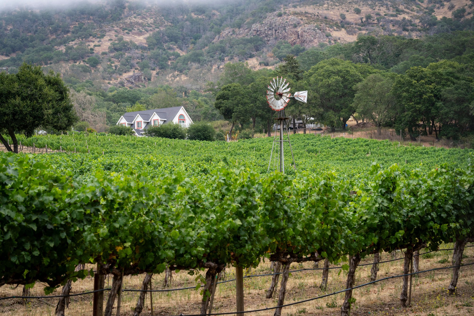 Coombsville (Napa), United States