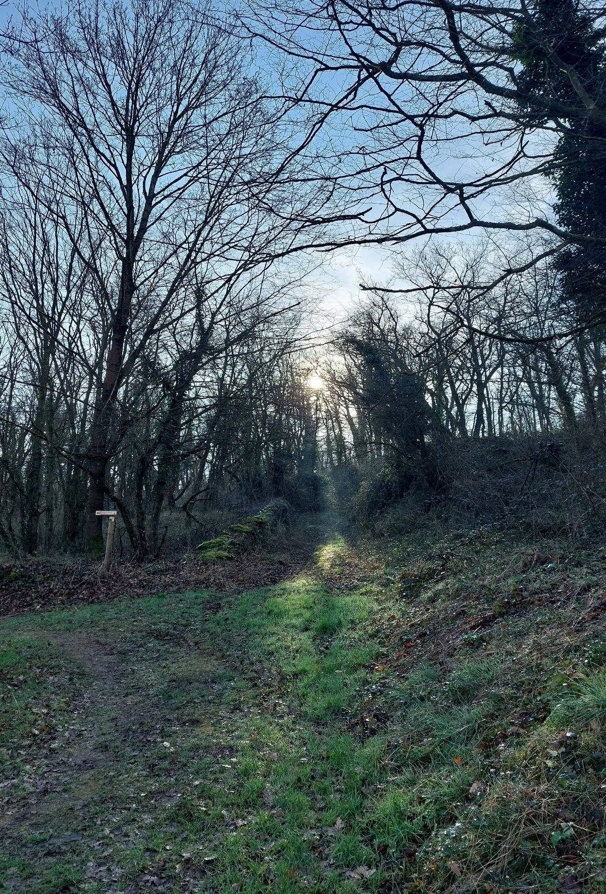 Echalas, France