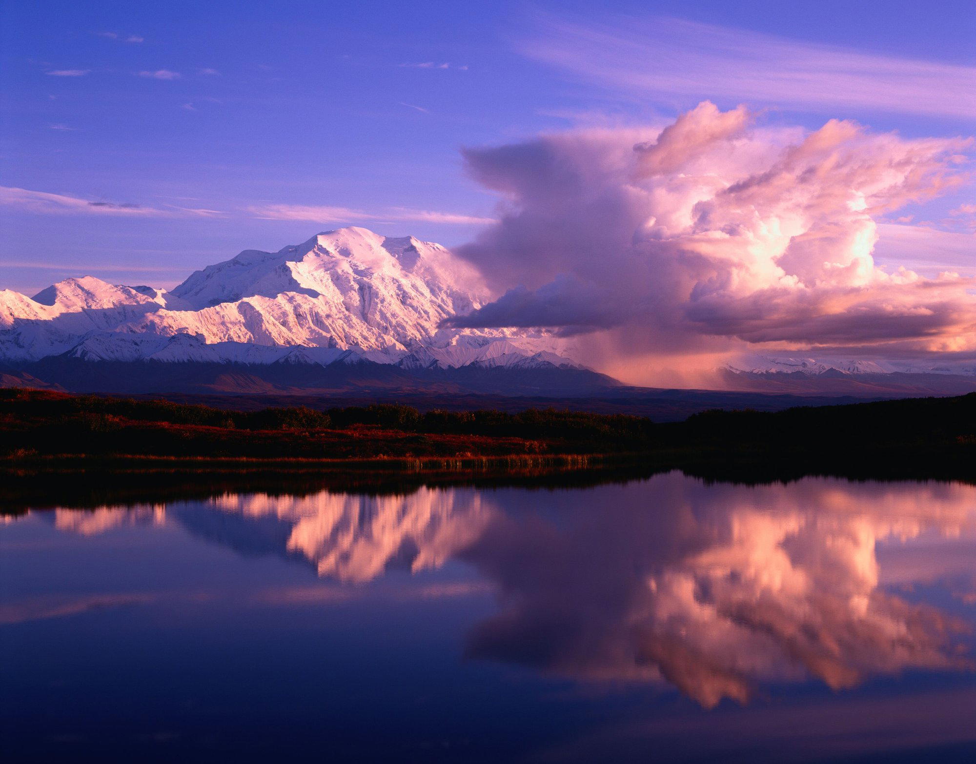 Mckinley Park, United States