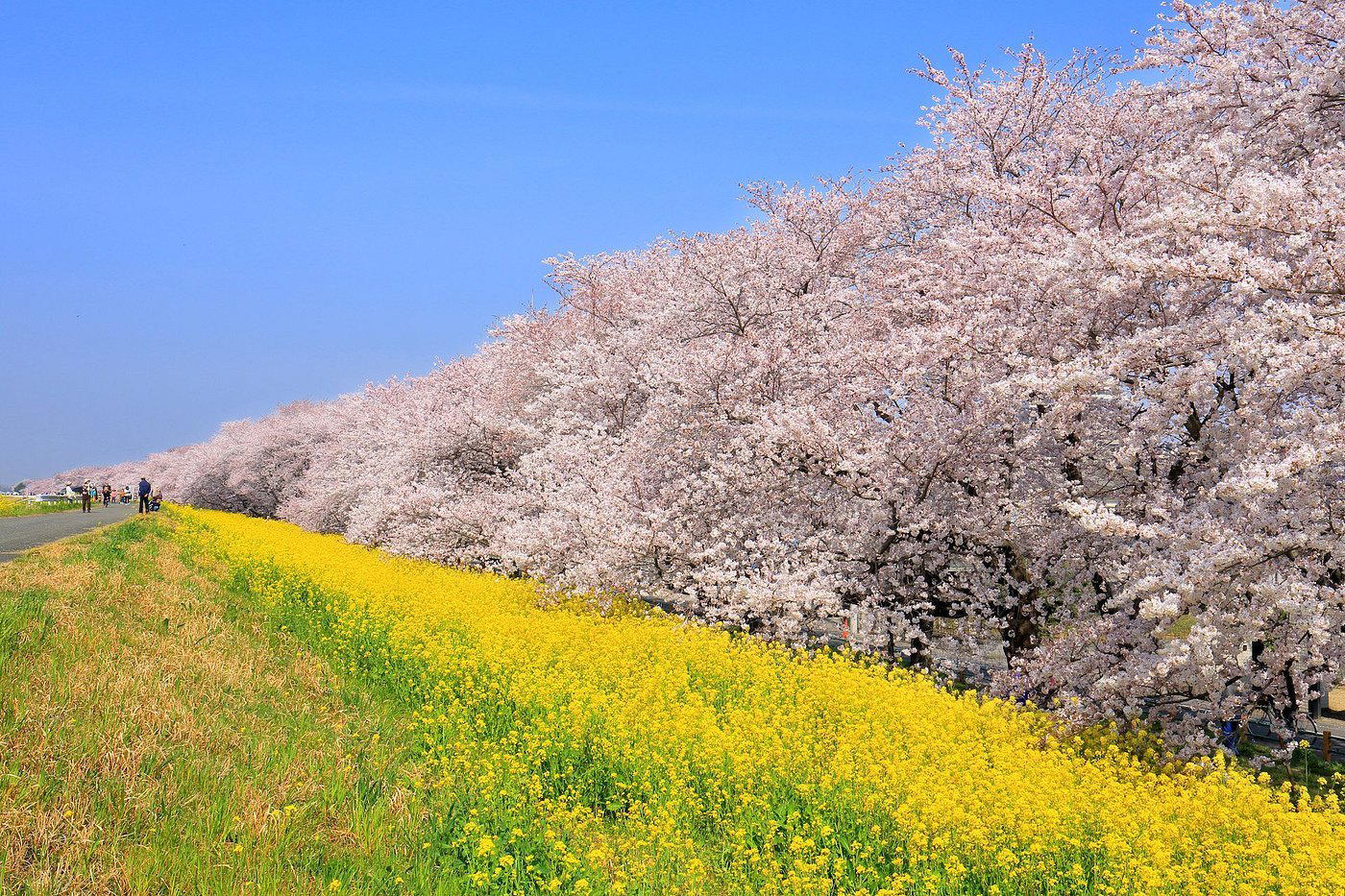 Kumagaya, Japan