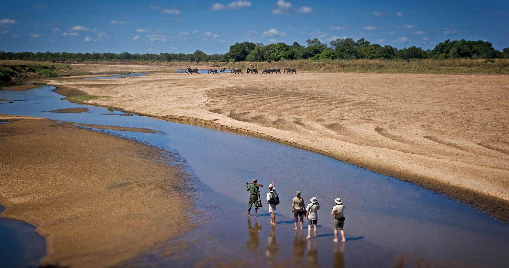South Luangwa National Park, Zambia