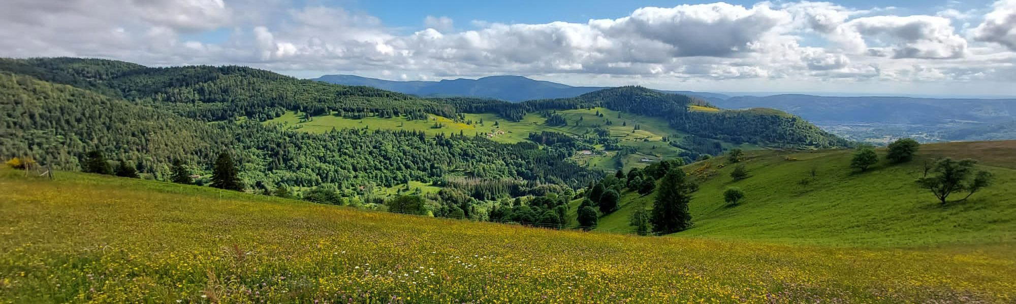 Le Menil, France