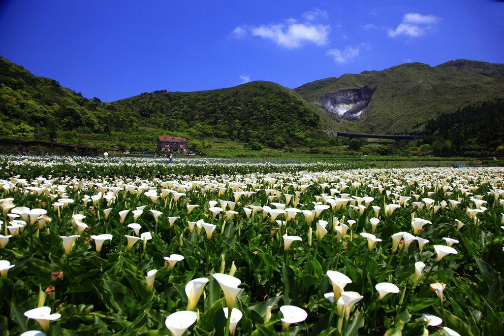 Yangmingshan, Taiwan