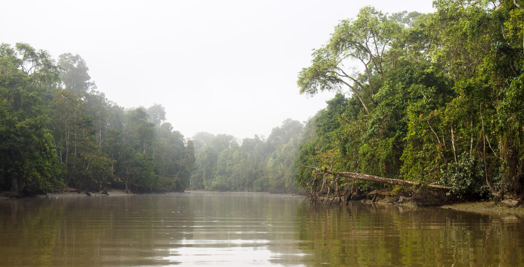 Kinabatangan, Malaysia