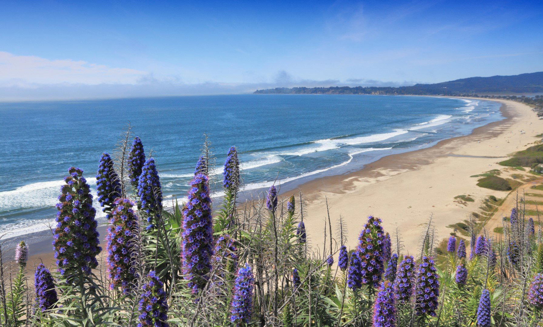 Stinson Beach, United States