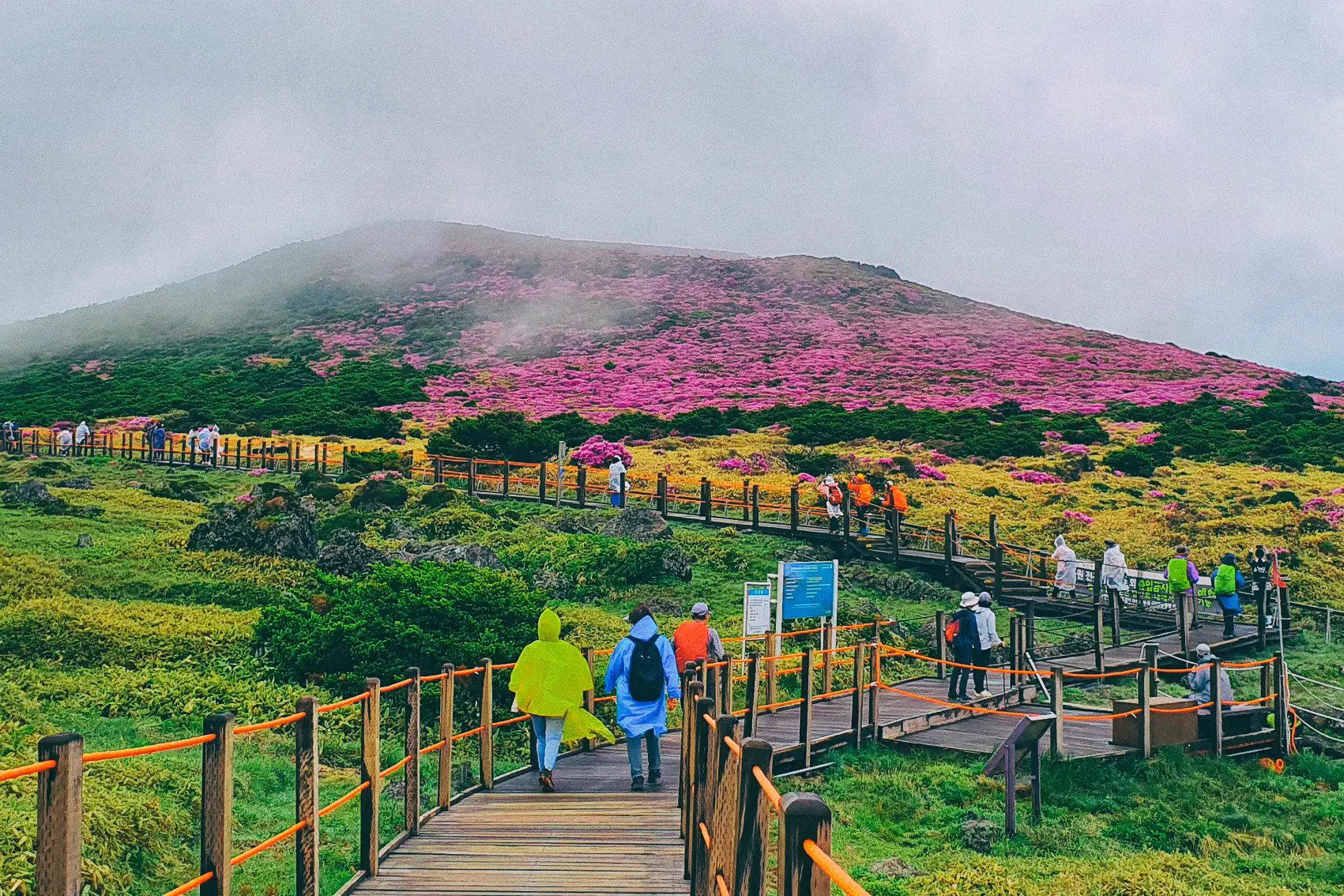 Jeju, South Korea