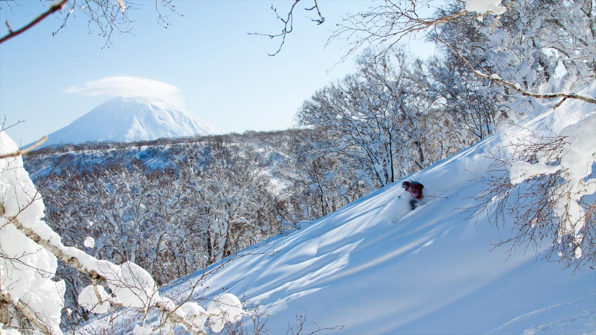ニセコ町, Japan
