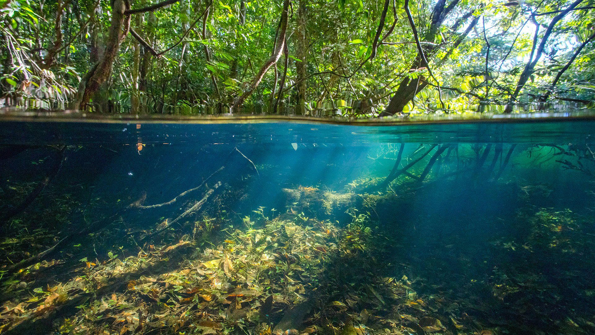 Alta Floresta, Brazil