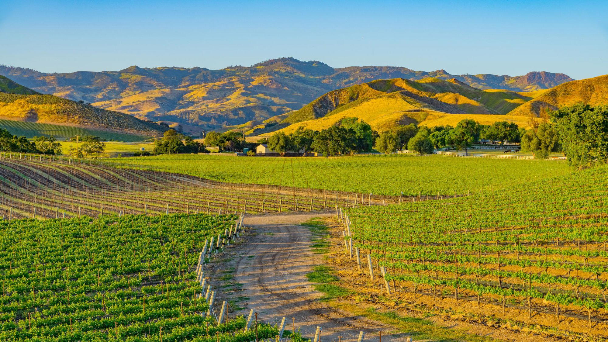 Santa Ynez Valley, United States