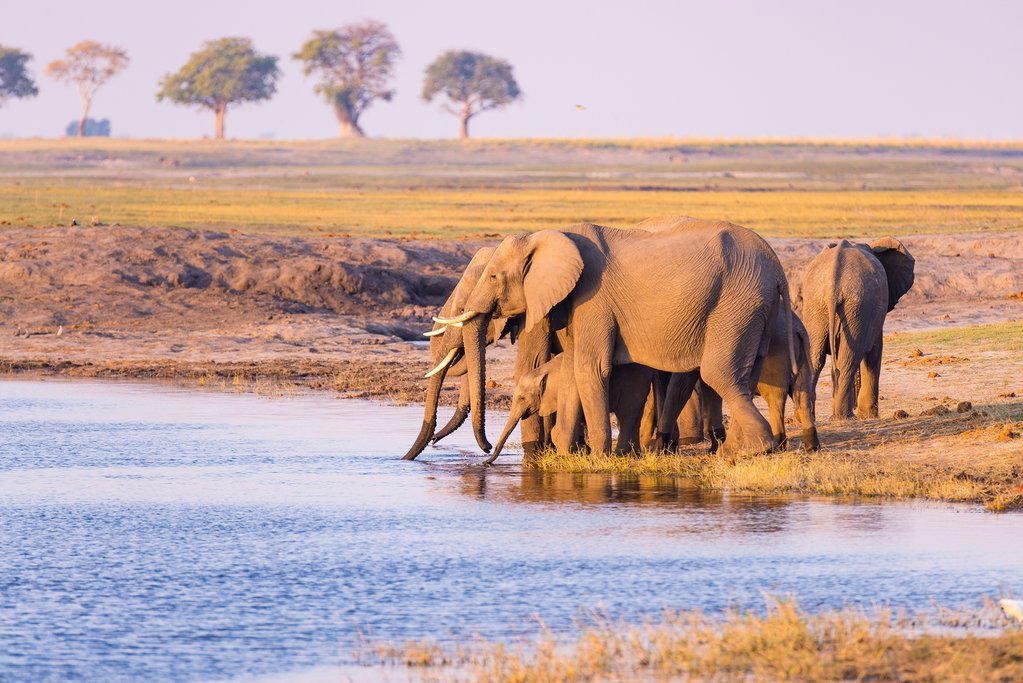 Sabi Sand, South Africa