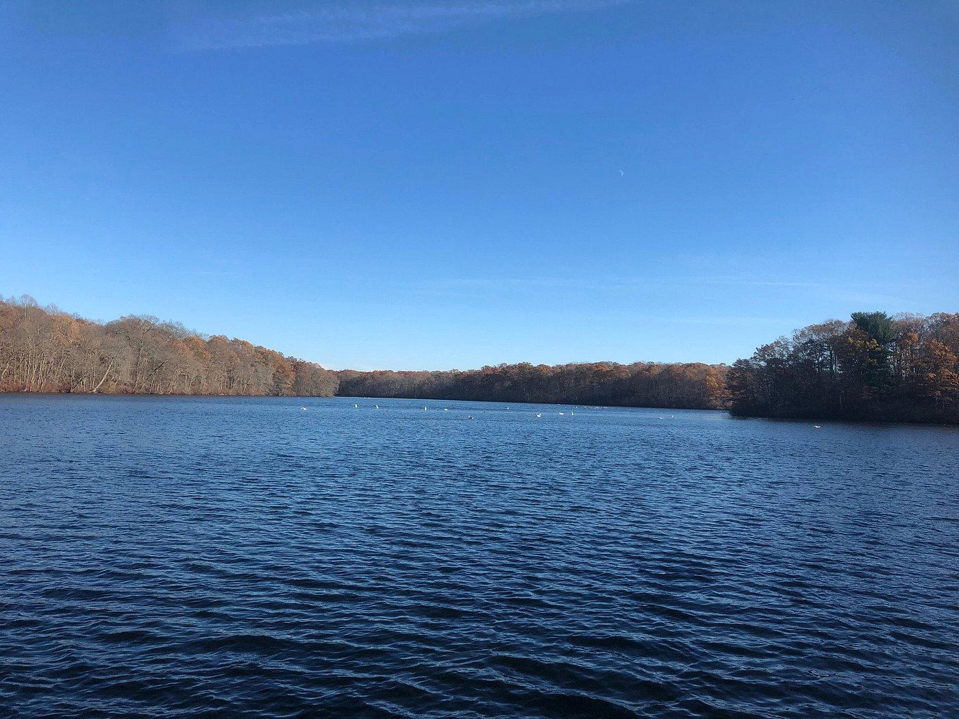 Hauppauge, United States