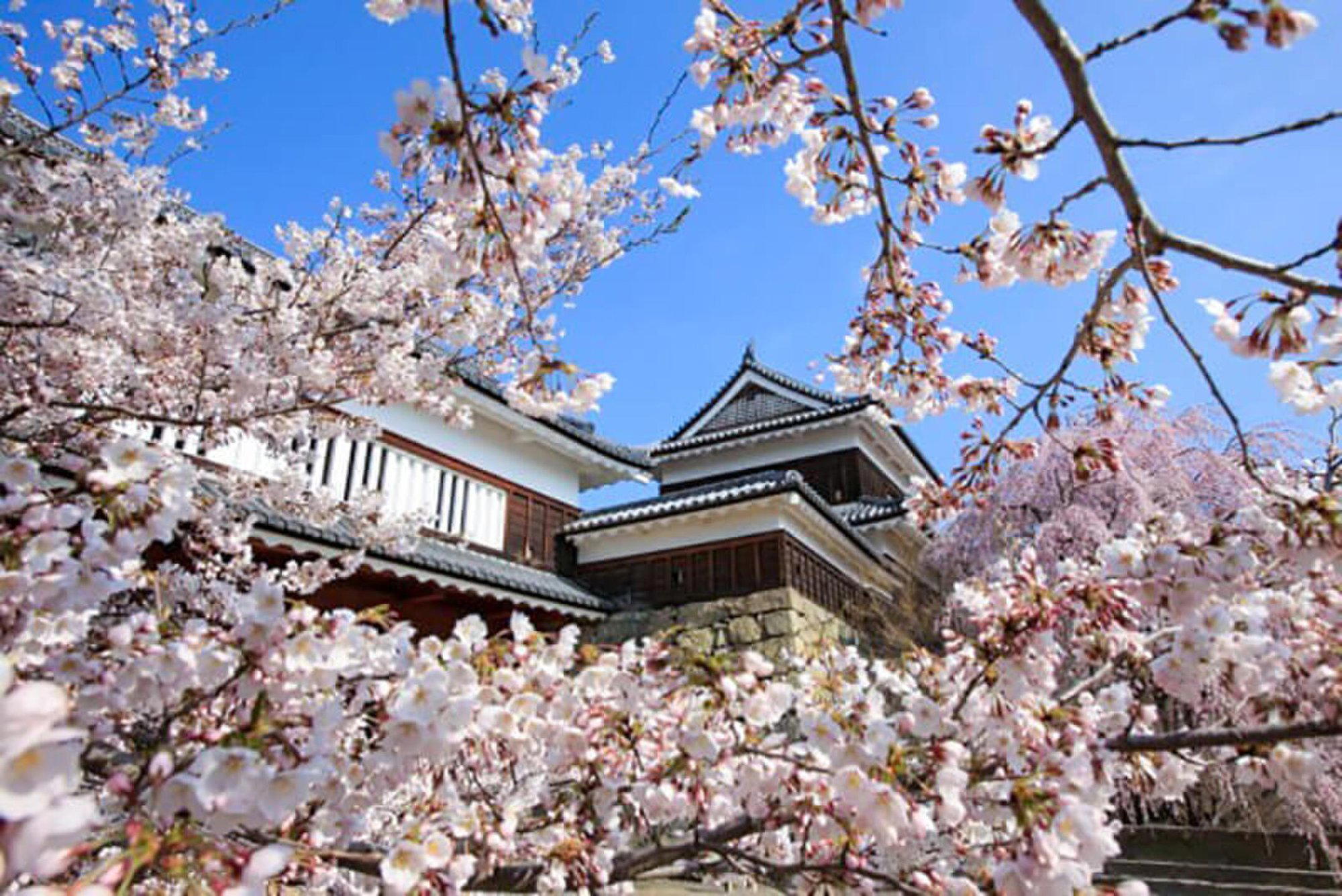 Ueda, Japan