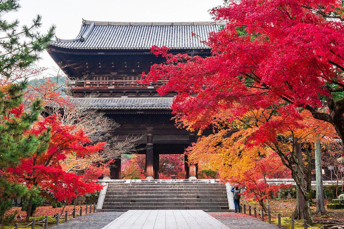 Yachiyo, Japan