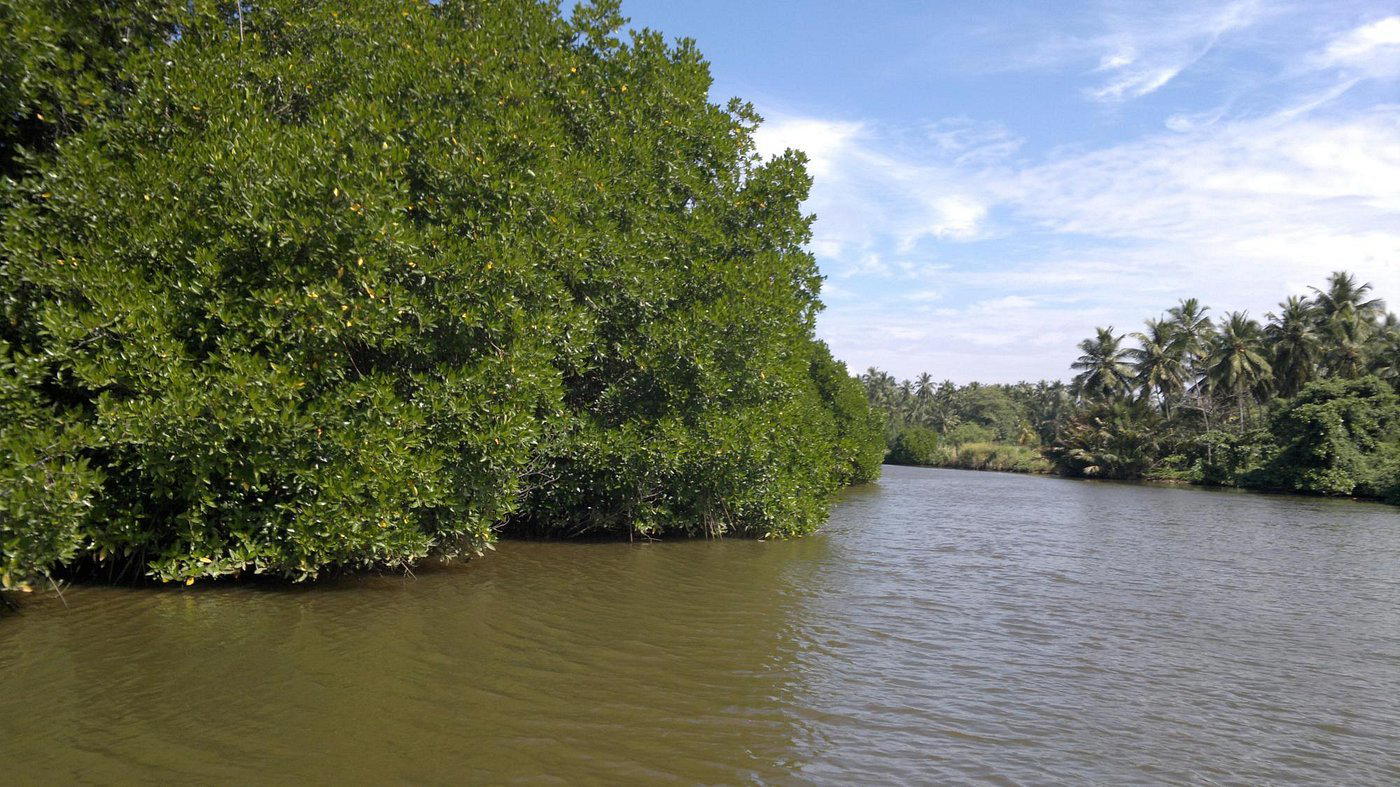 Kochchikade, Sri Lanka
