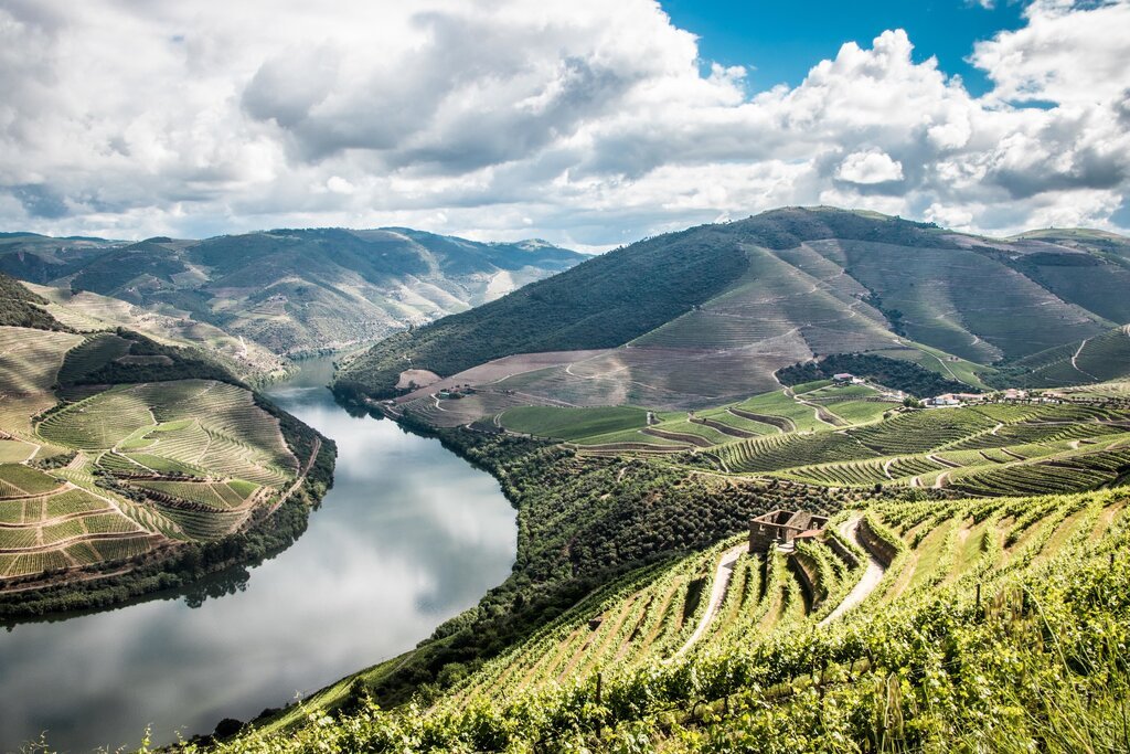 Ervedosa Do Douro, Portugal