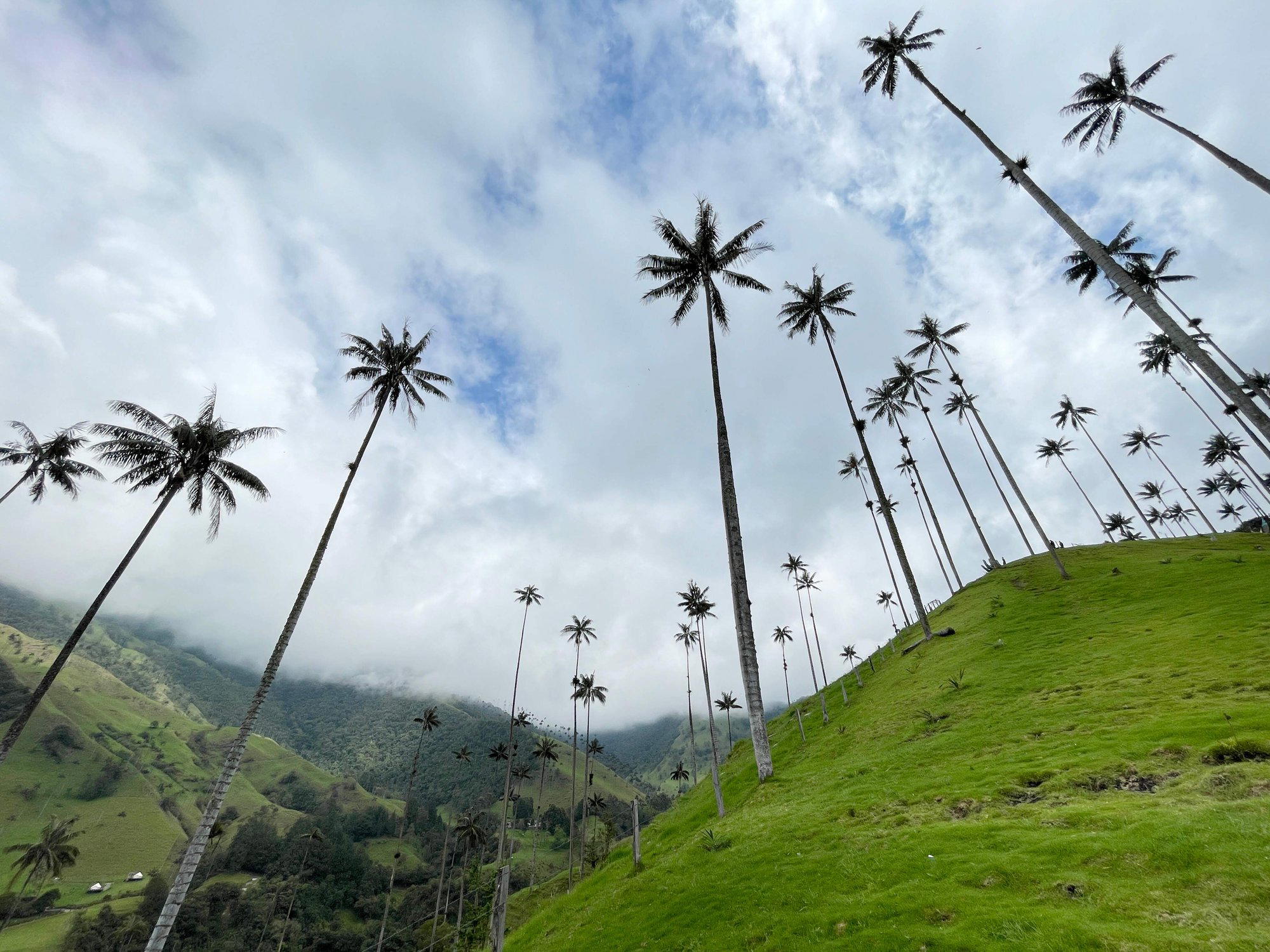 Salento, Colombia