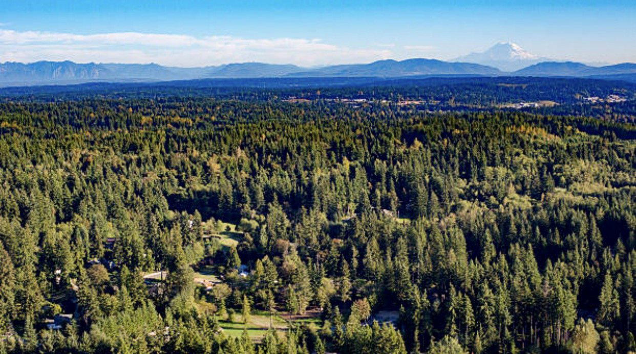 Mill Creek, United States