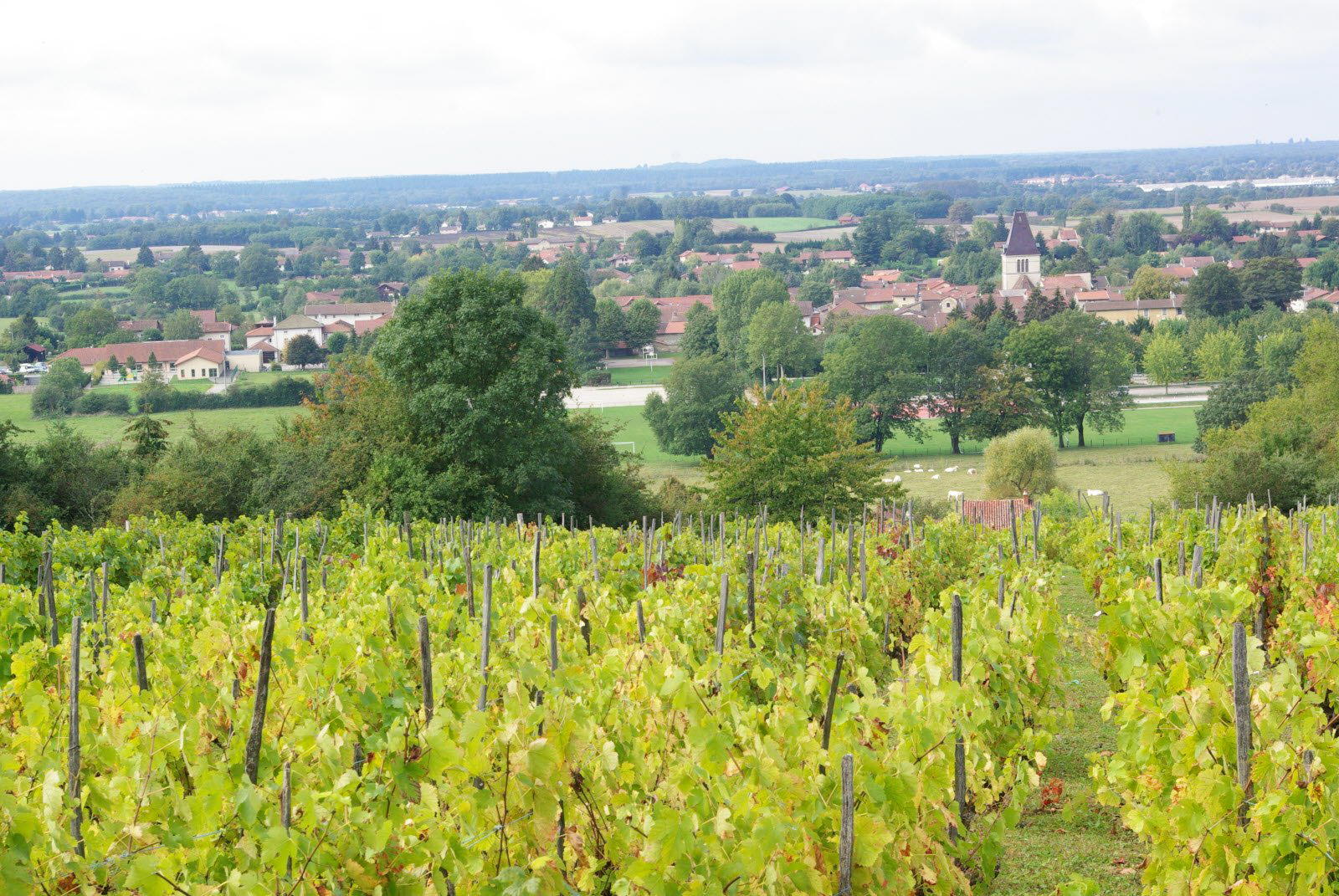 Tossiat, France