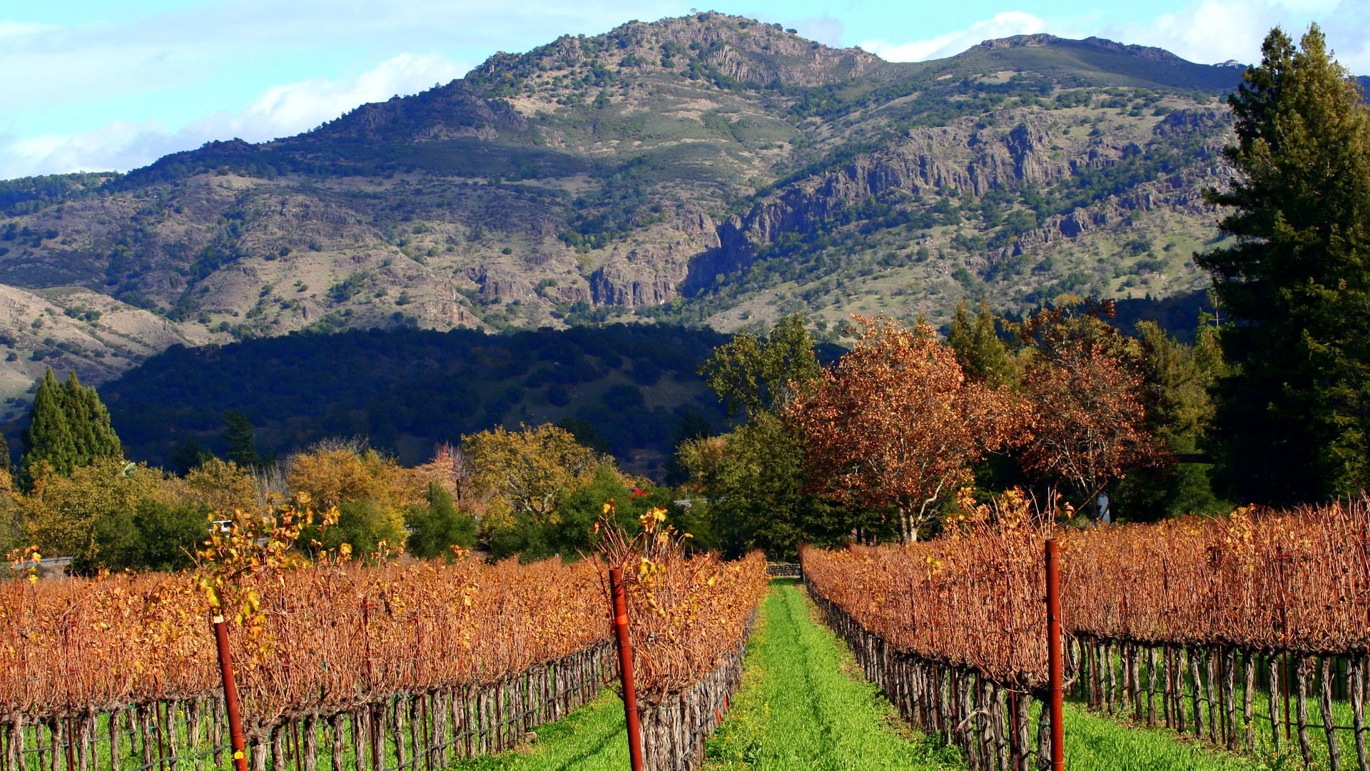 Napa, United States