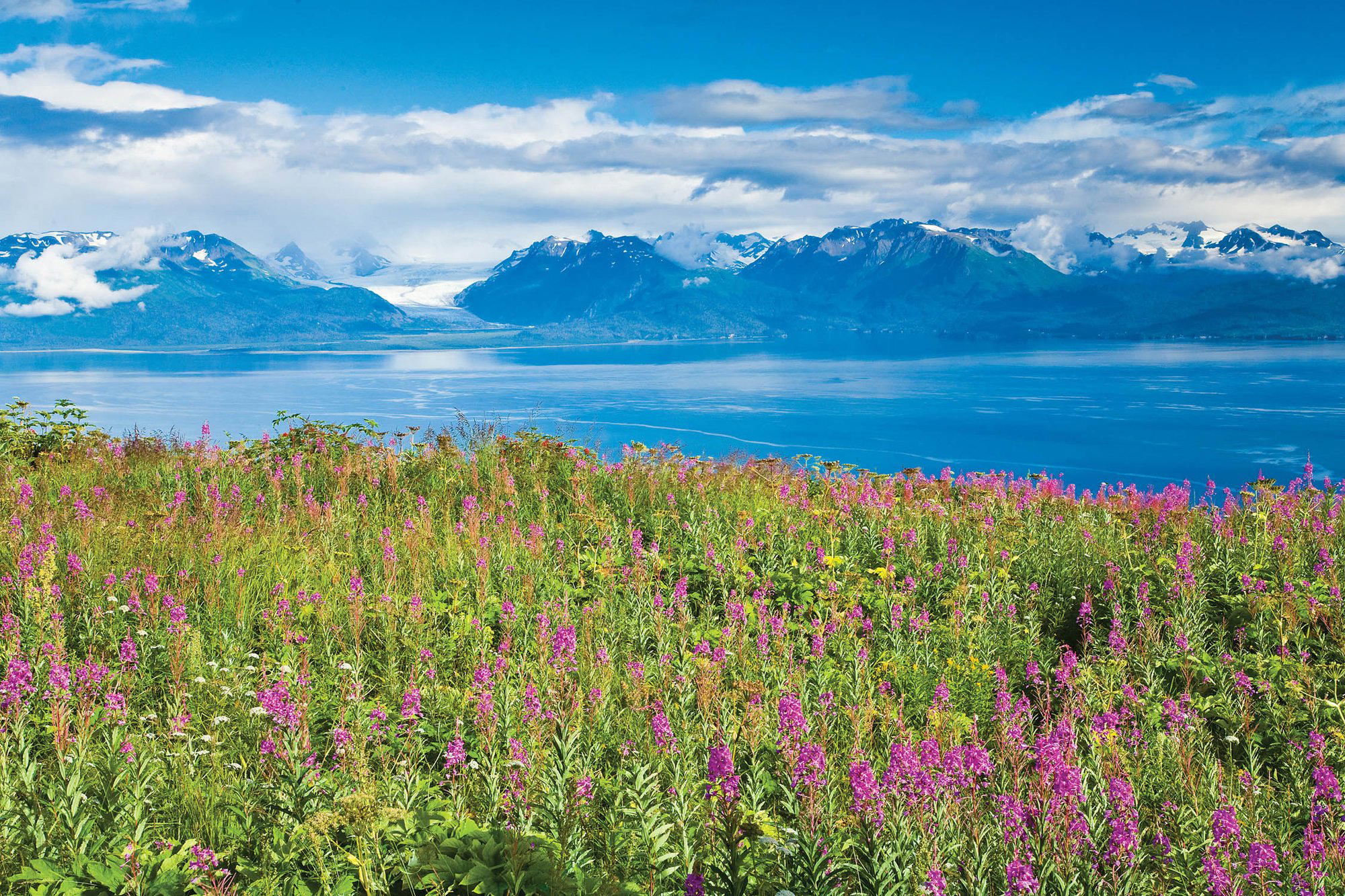 Homer, United States