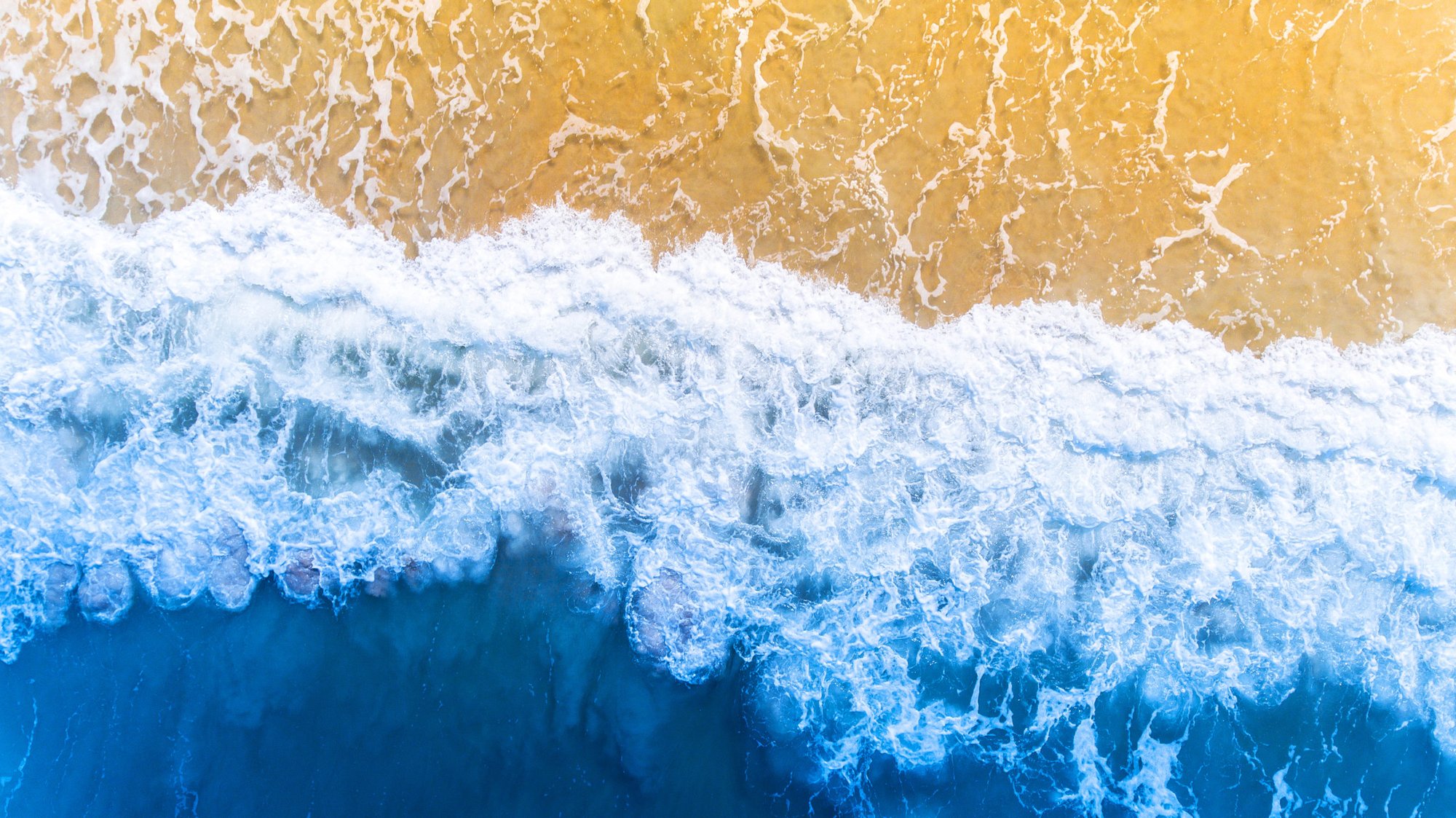 Palm Coast, United States