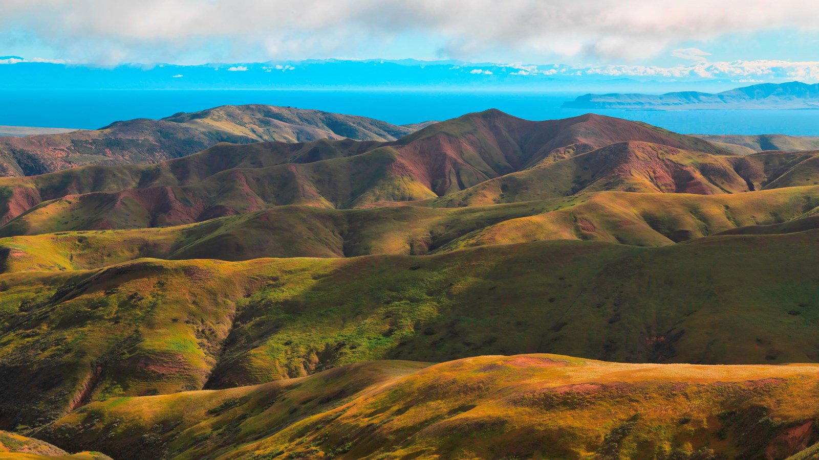 Black Mountain, United States