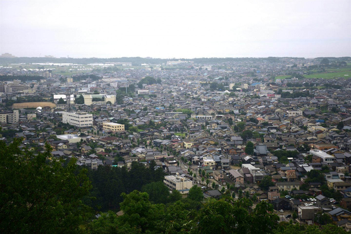 Murakami, Japan