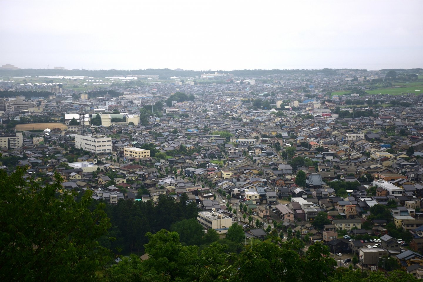 Murakami, Japan