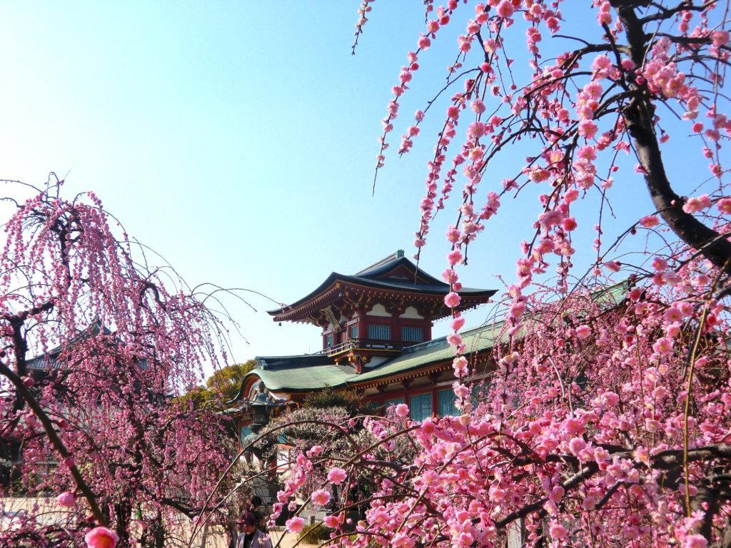 Hofu, Japan