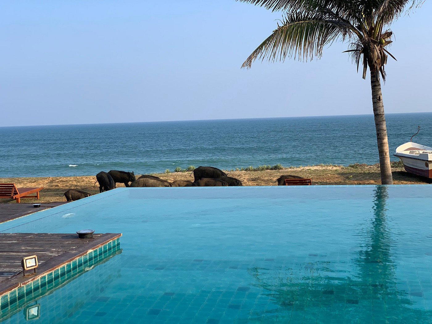 Palatupana, Sri Lanka