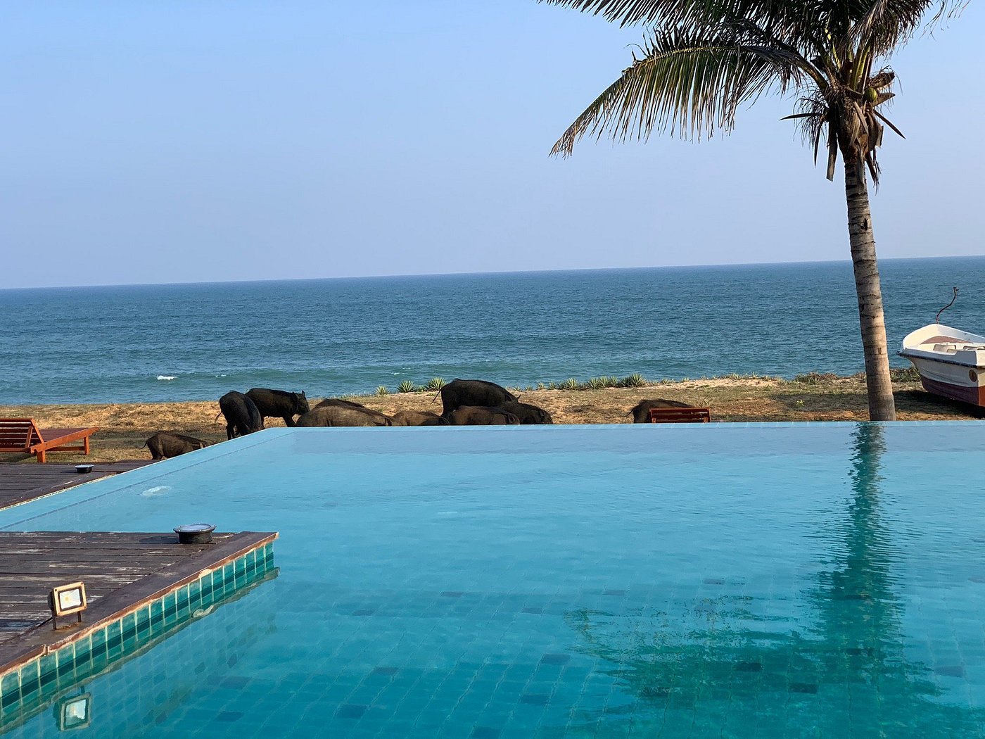 Palatupana, Sri Lanka