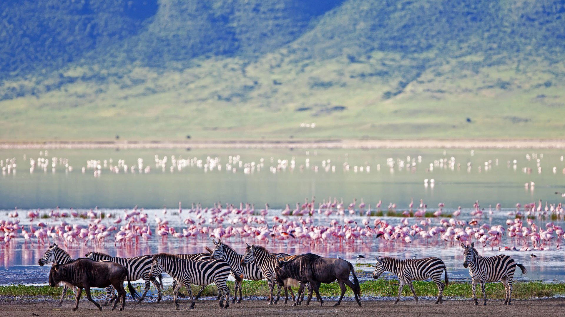 Ngorongoro, Tanzania
