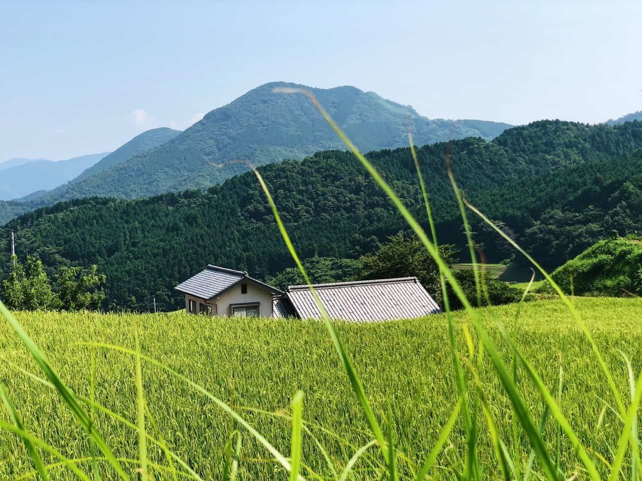 Toon, Japan