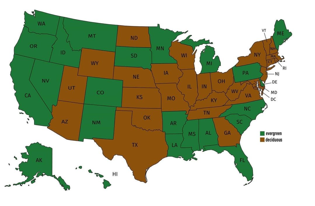 Evergreen, United States