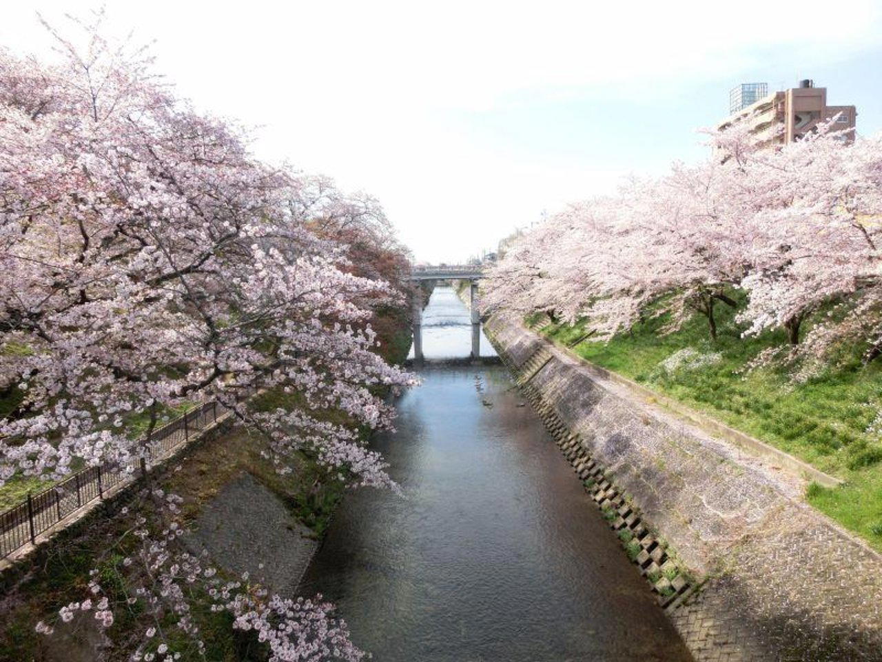 Kakamigahara, Japan