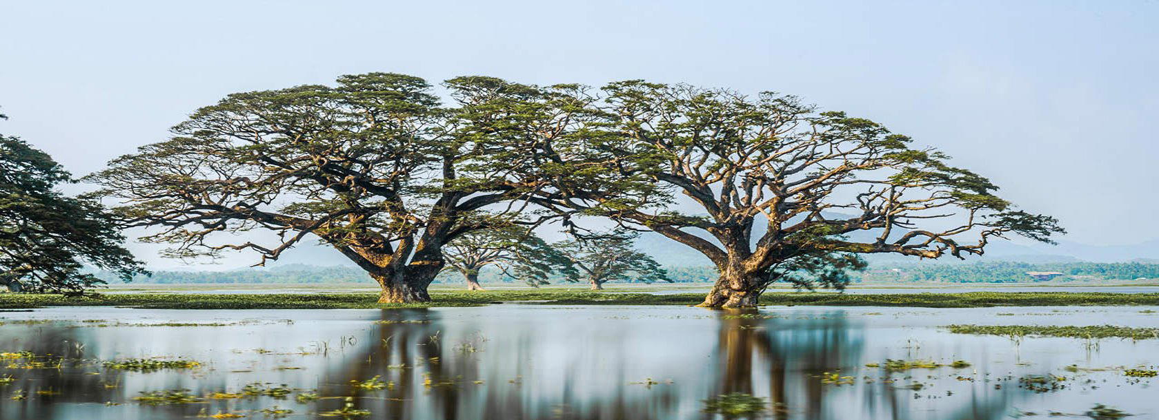 Weerawila, Sri Lanka