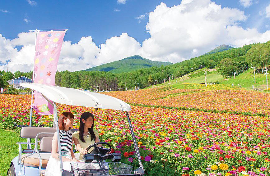 Fujimi, Japan