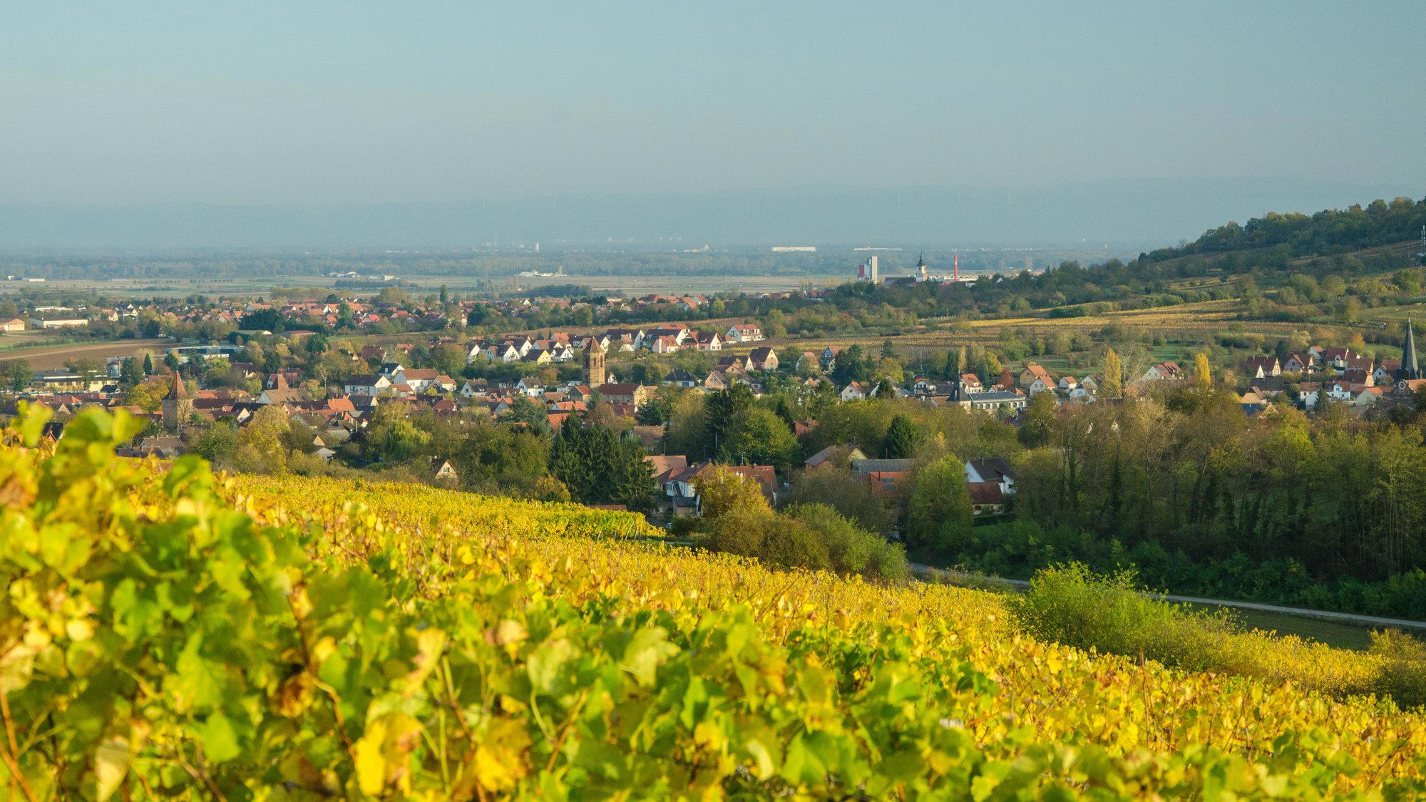 Salmbach, France
